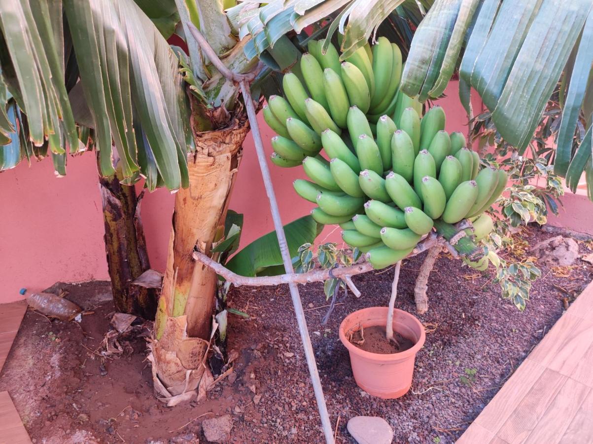 Casita La Gomera San Sebastián de la Gomera Exteriér fotografie